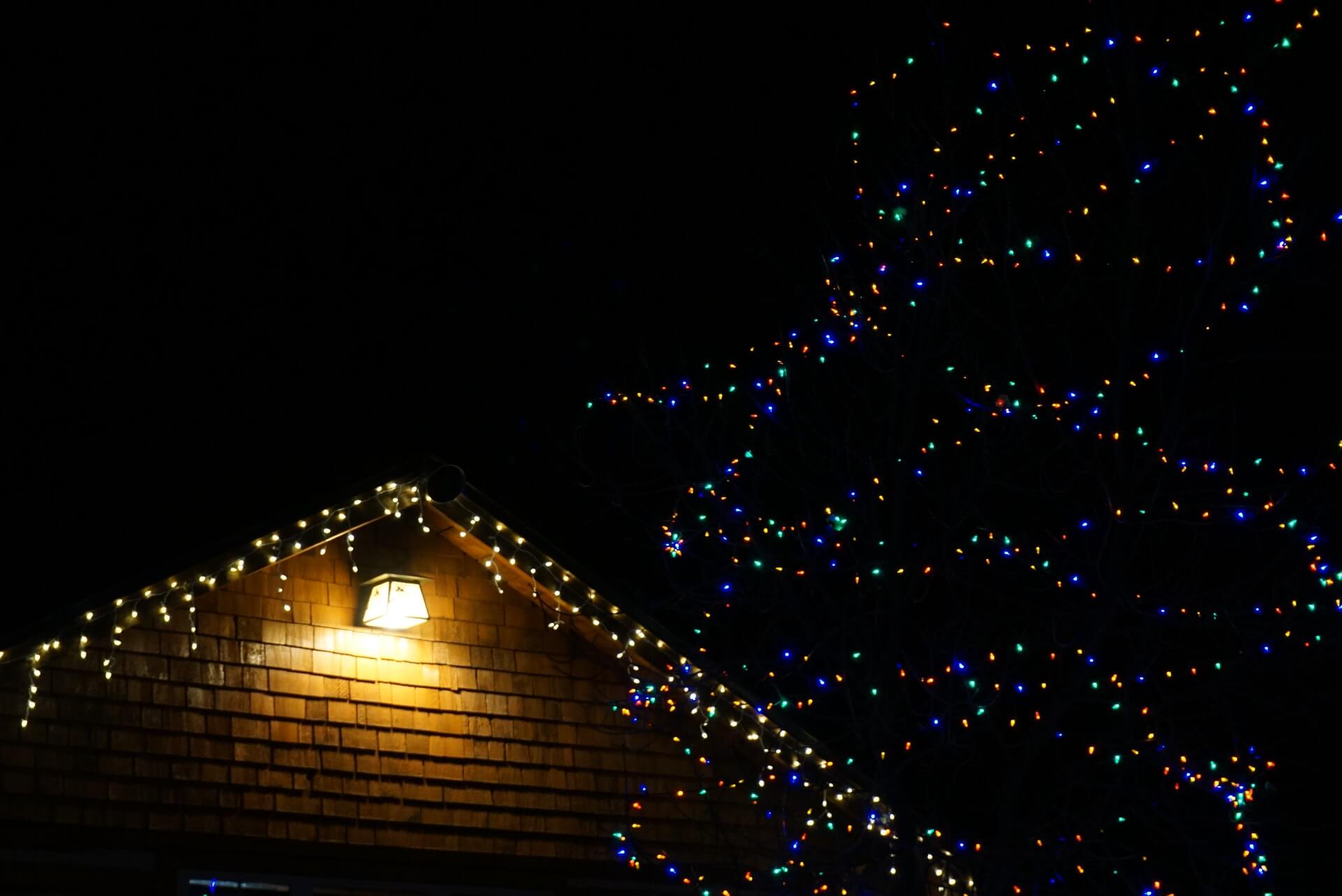 christmas lights