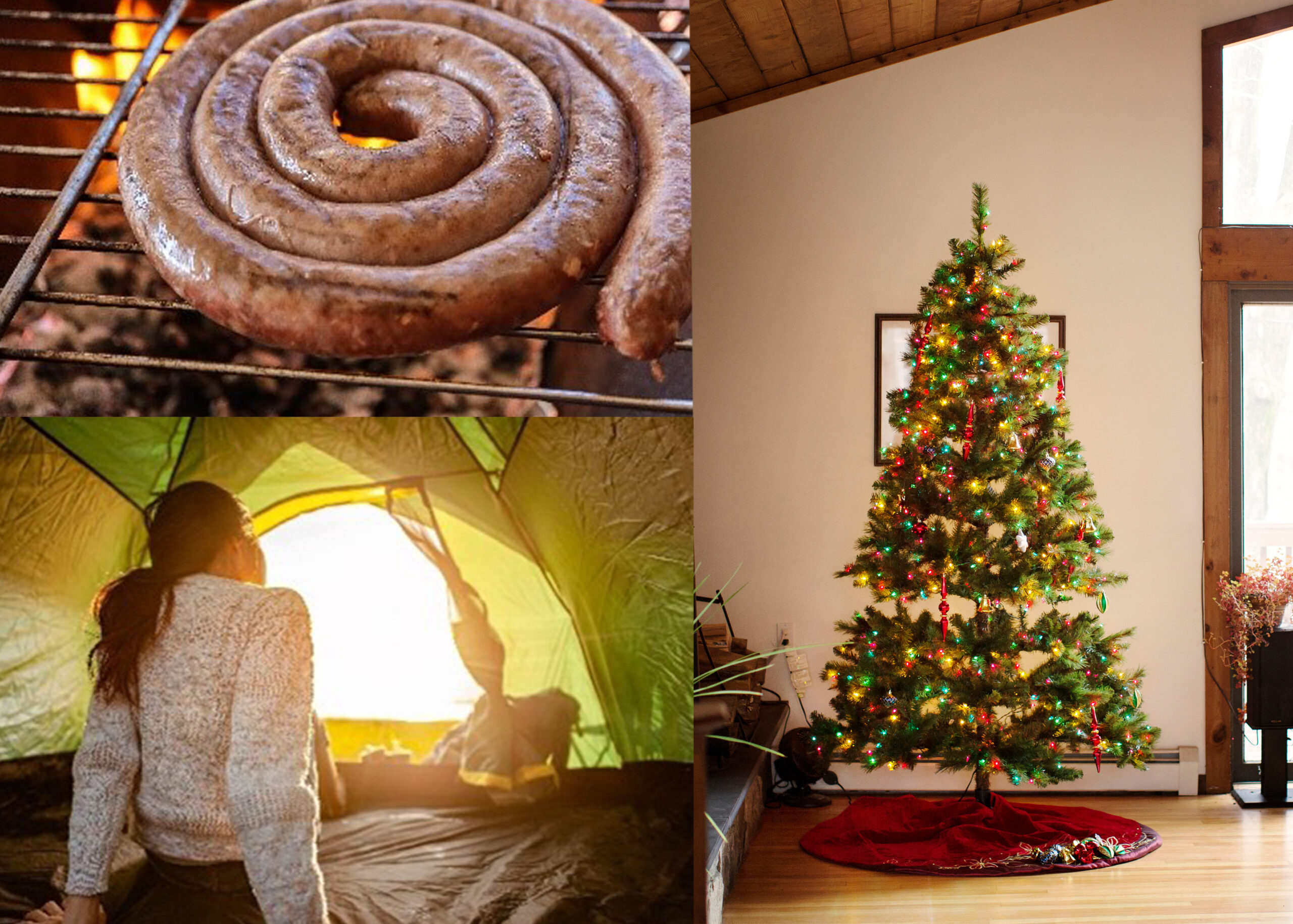 Christmas tips from Noshock